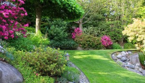 landscaping & grounds
